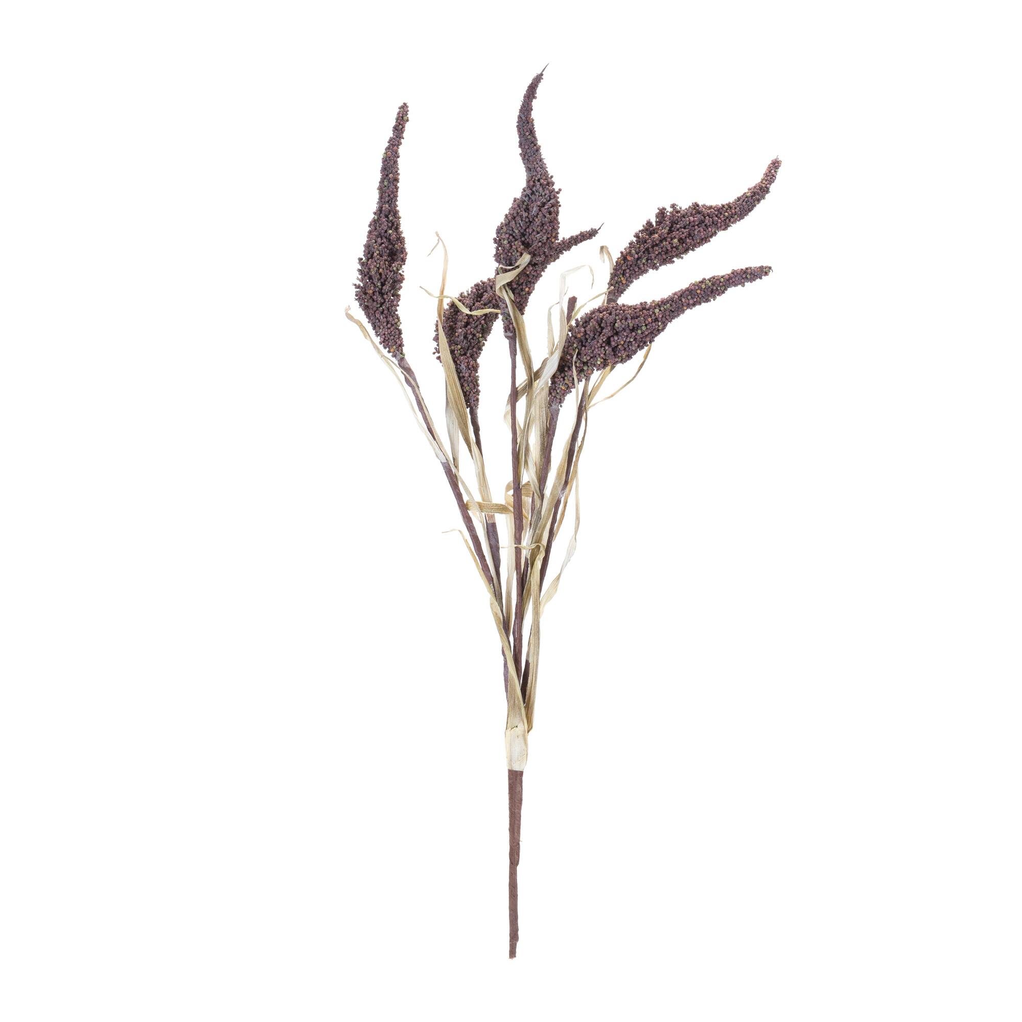 Seeded Harvest Bush, 12ct.